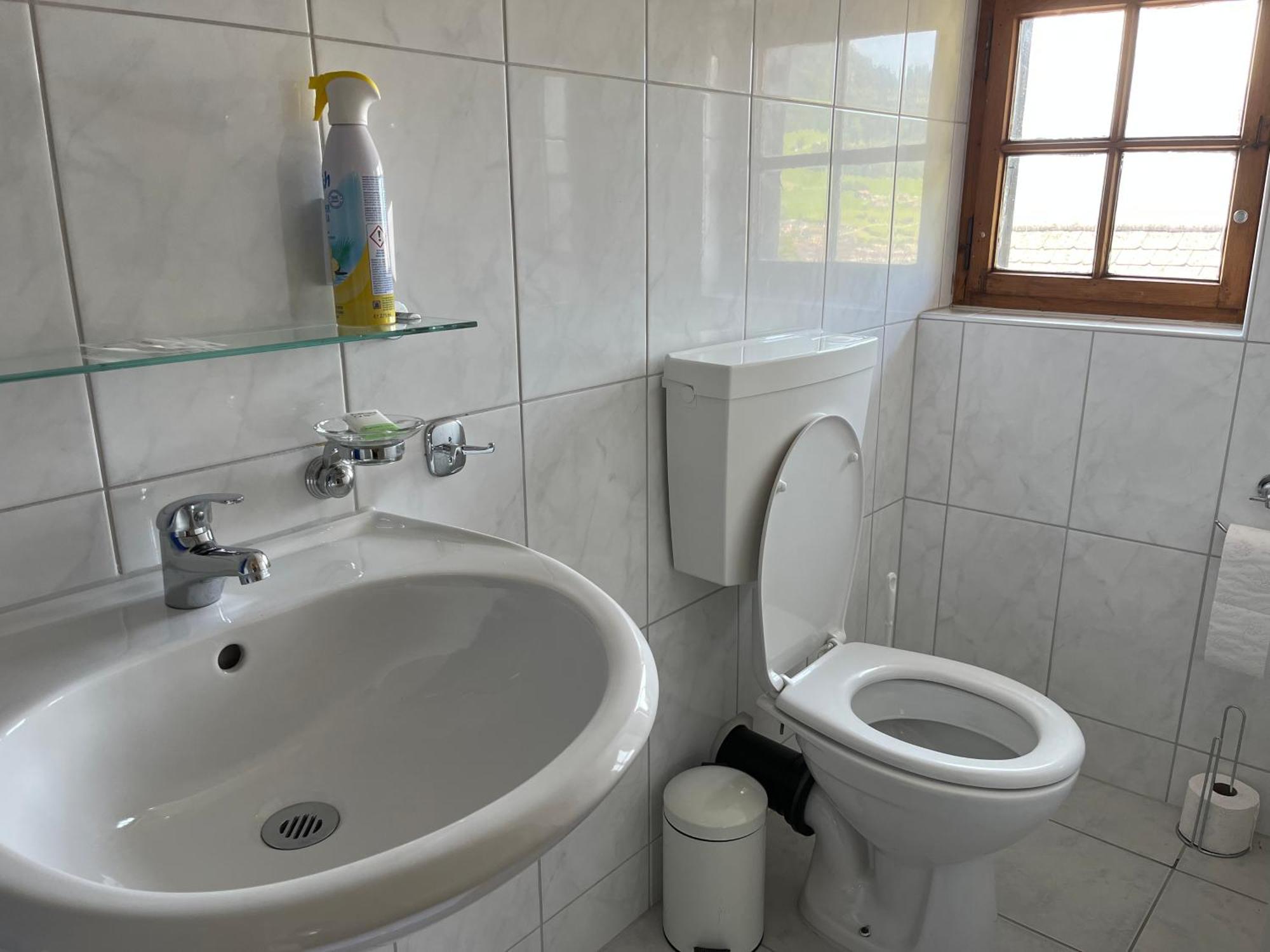 Schaefli Hotel Amden Ngoại thất bức ảnh